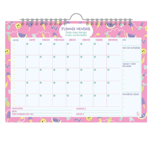 PLANNER MENSUAL REYSA PERCHITA MIX (L17149)