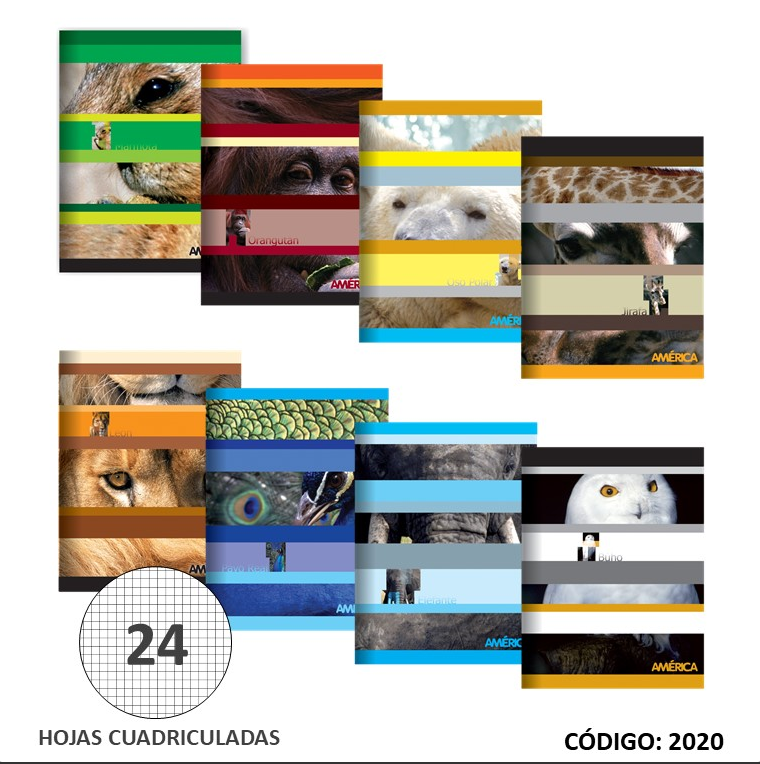 CUADERNO  TAPA BLANDA AMERICA  CUADRICULADO X24hjs.  (L2020)