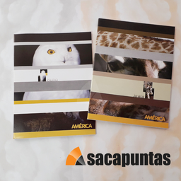 [L1040] CUADERNO TAPA BLANDA AMERICA x86hjs. RAYADO (L1040)