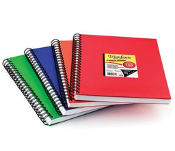 [L116460] CUADERNO CON ESPIRAL TAPA DURA  TRIUNFANTE 16x21 RAYADO X120hjs.  (L116460)