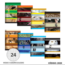 [L2020] CUADERNO  TAPA BLANDA AMERICA  CUADRICULADO X24hjs.  (L2020)
