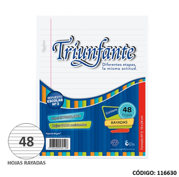 [L116630] REPUESTO N3 TRIUNFANTE RAYADO x48hjs. (L116630)