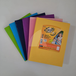 CUADERNO TAPA DURA EXITO FORRADO x 48hjs. (L4780)