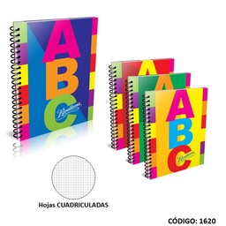 [L1620] CUADERNO T/E ABC 21X27 CARTON ####X100HJ (L1620)