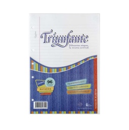 [L116910] REPUESTO A4 TRIUNFANTE RAYADO X96hjs. (L116910)