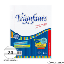 [L116620] REPUESTO N3 TRIUNFANTE RAYADO x 24hjs. (L116620)