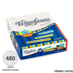 [L116770] REPUESTO N3 TRIUNFANTE CUADRICULADO x480 hjs (L116770)